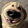 hai_long