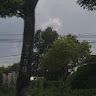lcduong