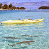 JayGatsby